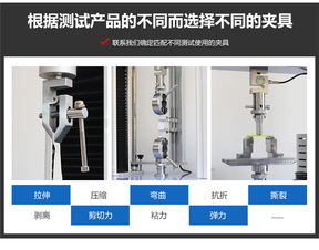 携手并进，共创未来 济南与温州拉力机厂家的技术力量与市场愿景